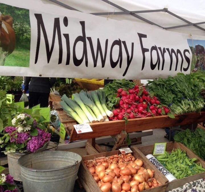 MIDWAY FARMS